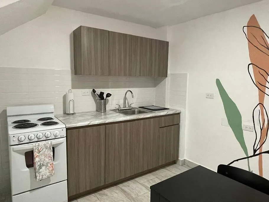 Comfy Spot In Santurce - King Bd Lejlighed San Juan Puerto Rico